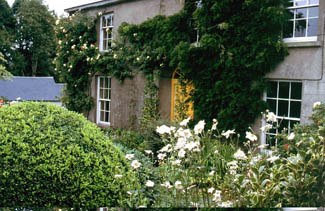 The Cottage Garden - The Bay Garden, Camolin, Enniscorthy County Wexford